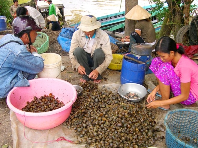 Mất cân bằng sinh thái bởi sinh vật ngoại lai