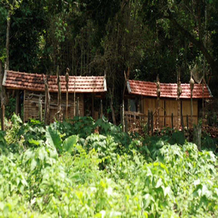 (bgiay)Kỳ lạ tục chia gia tài cho người chết của đồng bào H're: C