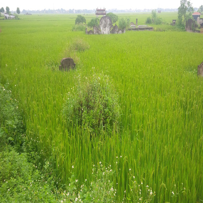 (bgiay)Giải mã “nhị sơn song đống” và chuyện người Tàu khoét núi 