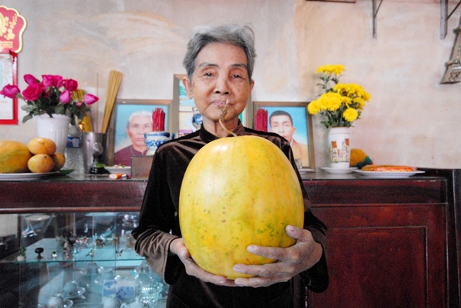 Những trái cây miền Tây để cả năm không hỏng