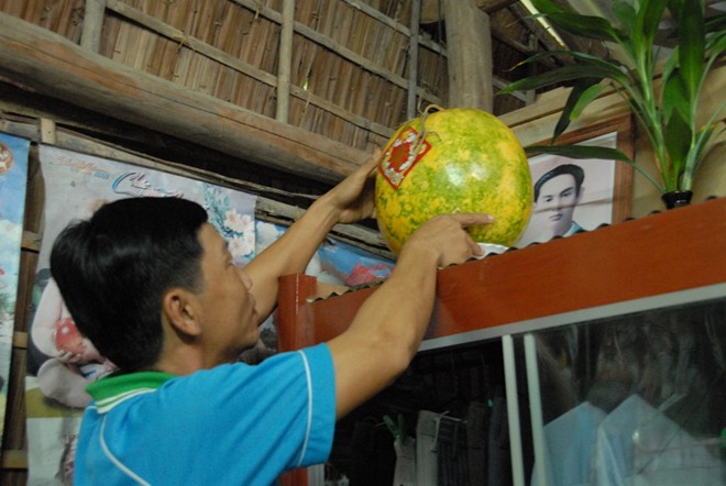 Những trái cây miền Tây để cả năm không hỏng