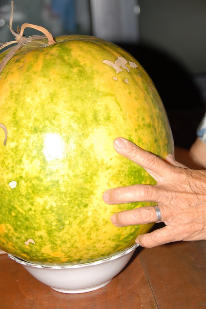 Những trái cây miền Tây để cả năm không hỏng