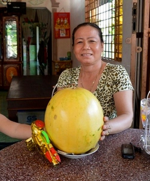 Những trái cây miền Tây để cả năm không hỏng