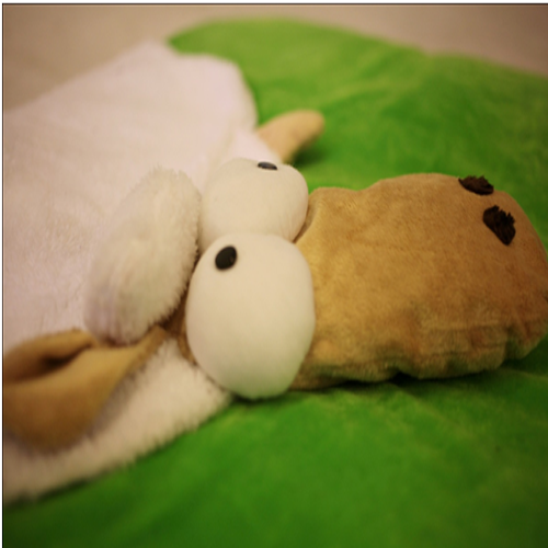 Giải mã cơn sốt chăn lông 3D siêu hot 2014