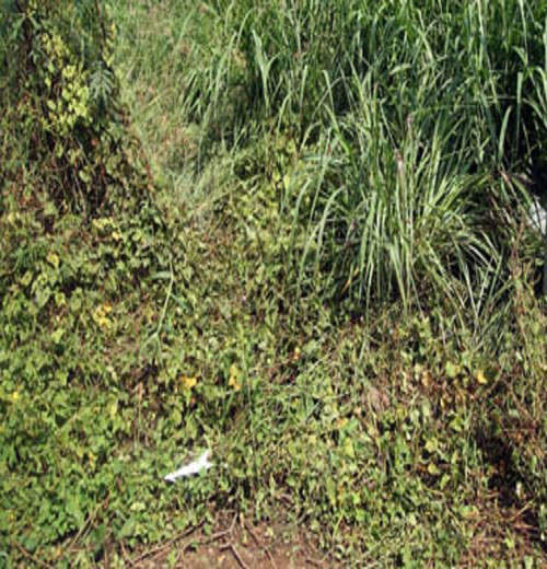 (bgiay)Cái chết bí ẩn của nam thanh niên sau khi bị tạm giữ vì ng (bgiay)Cái chết bí ẩn của nam thanh niên sau khi bị tạm giữ vì ng