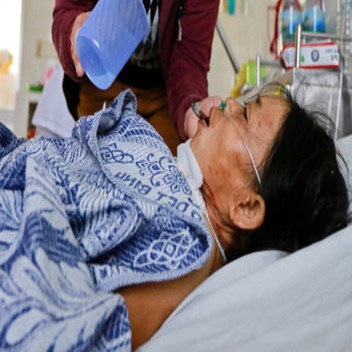 (bgiay)Hoang mang lời đồn heo rừng thành tinh tìm về “đoạt mạng n