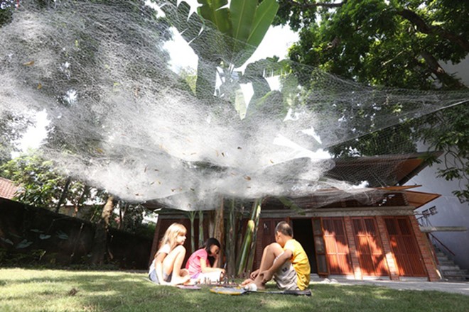 Nhà tre truyền thống độc đáo giữa Hà Nội