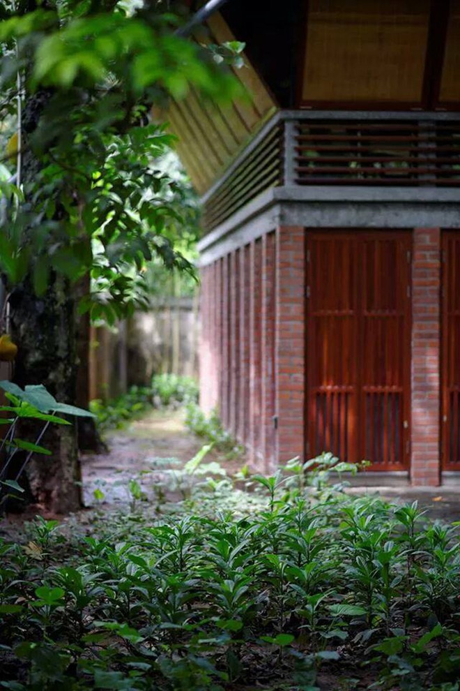 Nhà tre truyền thống độc đáo giữa Hà Nội