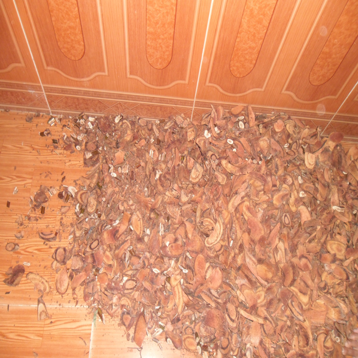 (bgiay)Kỳ nhân chữa vô sinh với bài thuốc bí truyền, nhận làm cha (bgiay)Kỳ nhân chữa vô sinh với bài thuốc bí truyền, nhận làm cha