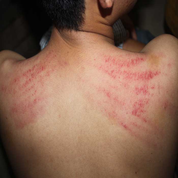 (bgiay)PV báo Đời sống và Pháp luật và hành trình vào “biệt phủ” 