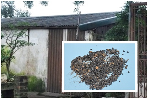 (bgiay)Kỳ quái màn xông khói bắt sâu răng và chuyện diệt sâu theo (bgiay)Kỳ quái màn xông khói bắt sâu răng và chuyện diệt sâu theo