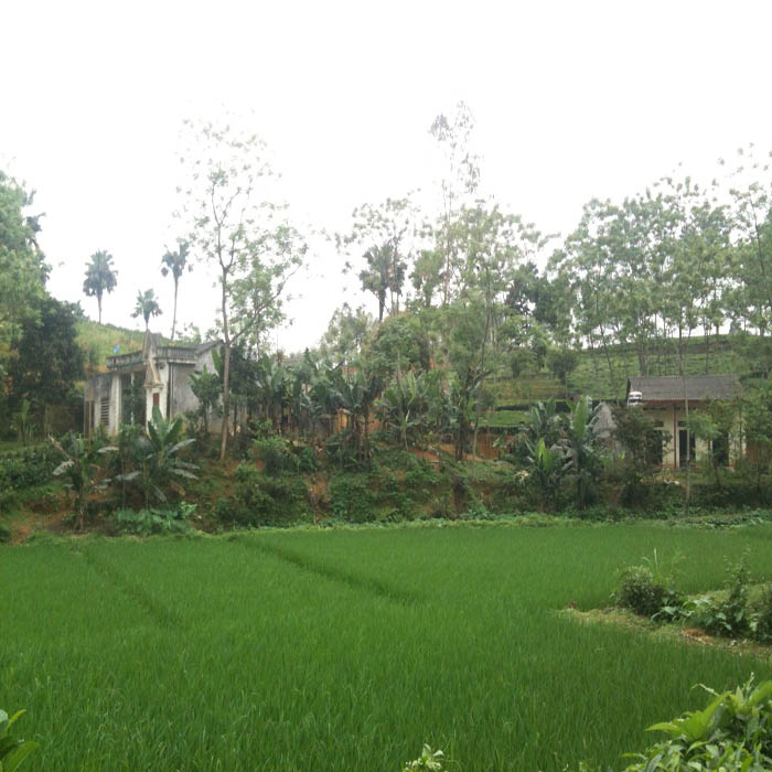 (bgiay)Nghịch tử vung dao sát hại bố ở Bắc Giang: Vì nghi ngờ nạn