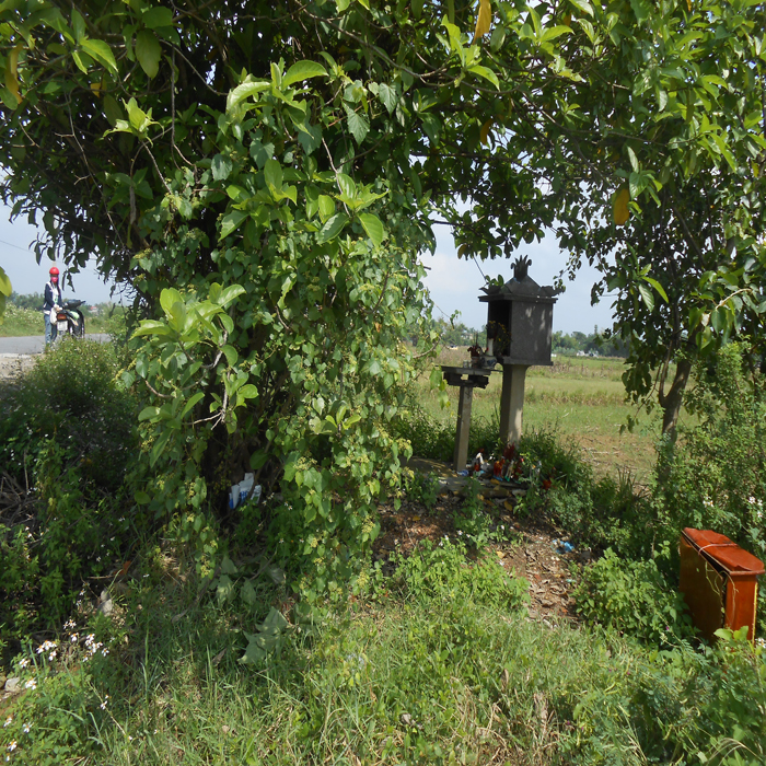 (BGIAY)Sự mất tích bí ẩn của bức tượng bà đá trong đêm mưa gió sấ