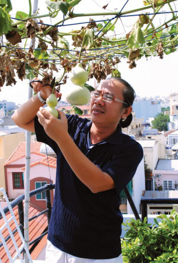 Sợ trúng độc, đại gia trồng rau, nuôi lợn ăn riêng