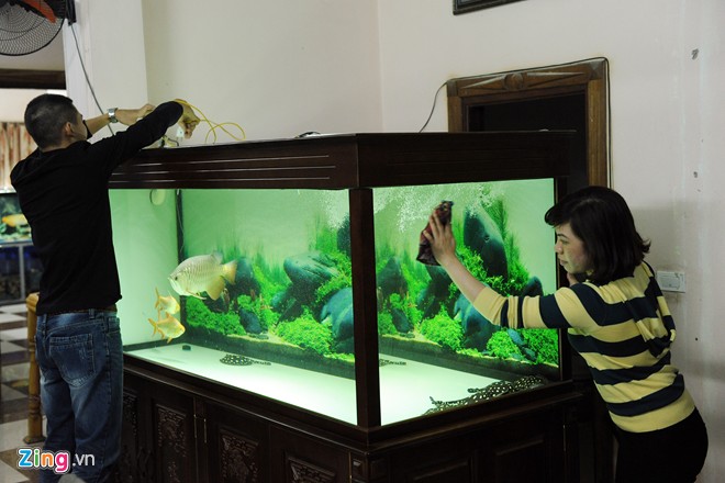 Trại sam cảnh tiền tỷ của chàng luật sư Hà thành