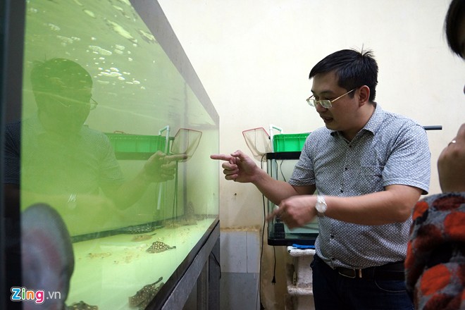 Trại sam cảnh tiền tỷ của chàng luật sư Hà thành