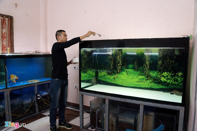 Trại sam cảnh tiền tỷ của chàng luật sư Hà thành