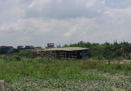 Âm mưu tàn độc của kẻ đánh bả chó giết vợ nhân tình