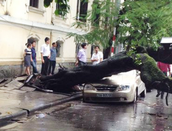 Bão Thần Sấm gây mưa lớn ngập lụt, cây đổ ở Hà Nội