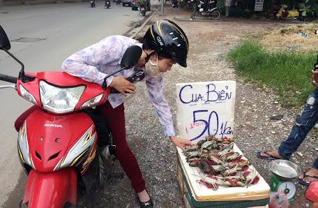 Cua, ghẹ 