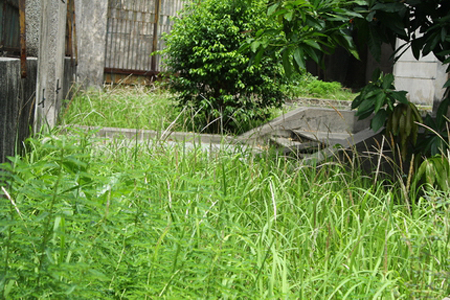 Bí ẩn ngôi nhà ma bị bỏ hoang ở 