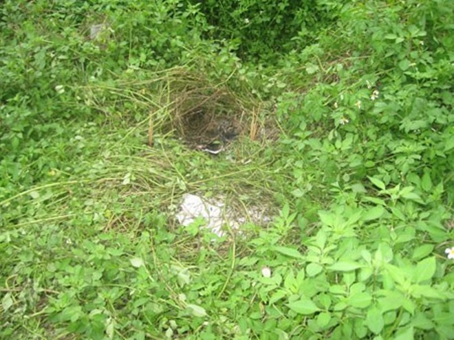 Thanh niên chết bí ẩn sau khi trả lại 100 triệu nhặt được