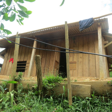 Sự thật kinh hoàng: Con gái ở cùng cha ruột, sinh ra 4 người con