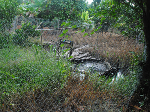 Bỗng dưng bị khổ vì... 1,5 tấn vàng! Bỗng dưng bị khổ vì... 1,5 tấn vàng!