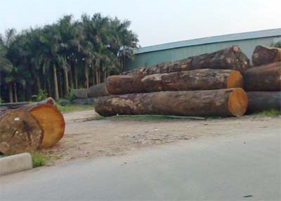 Kỳ 3: Mưu sâu kế hiểm của 'ông trùm', độc chiêu thu phục đầu nậu