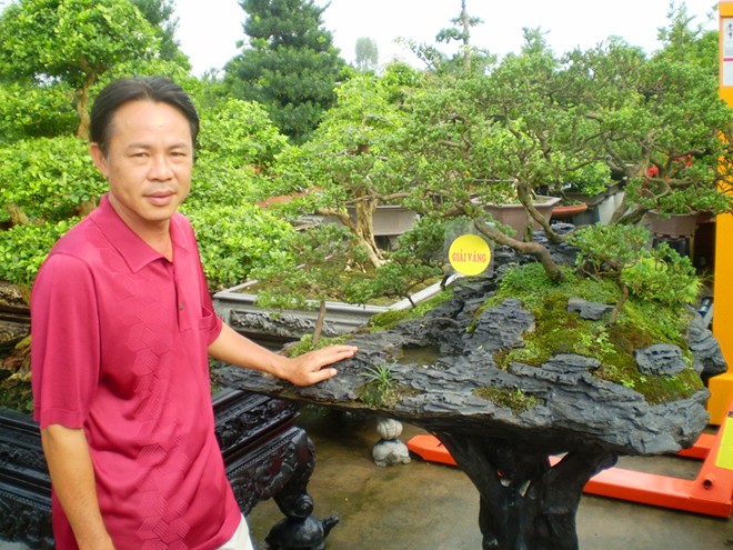 Thợ bạc miền Tây chơi kiểng ‘độc’ hái tiền tỷ Thợ bạc miền Tây chơi kiểng ‘độc’ hái tiền tỷ