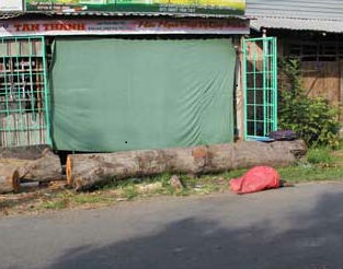 Hot girl cầm đầu nhóm côn đồ miền Tây đánh chết người