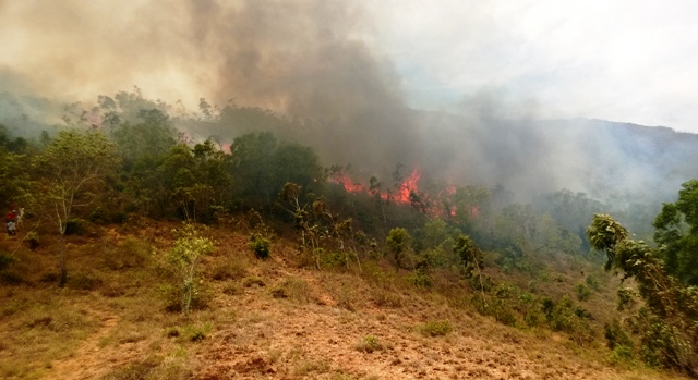Bình Định: Cháy lớn trên núi Bà Hỏa
