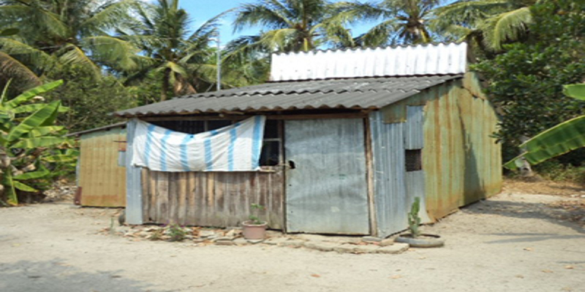 Lời khai rùng rợn của Lời khai rùng rợn của