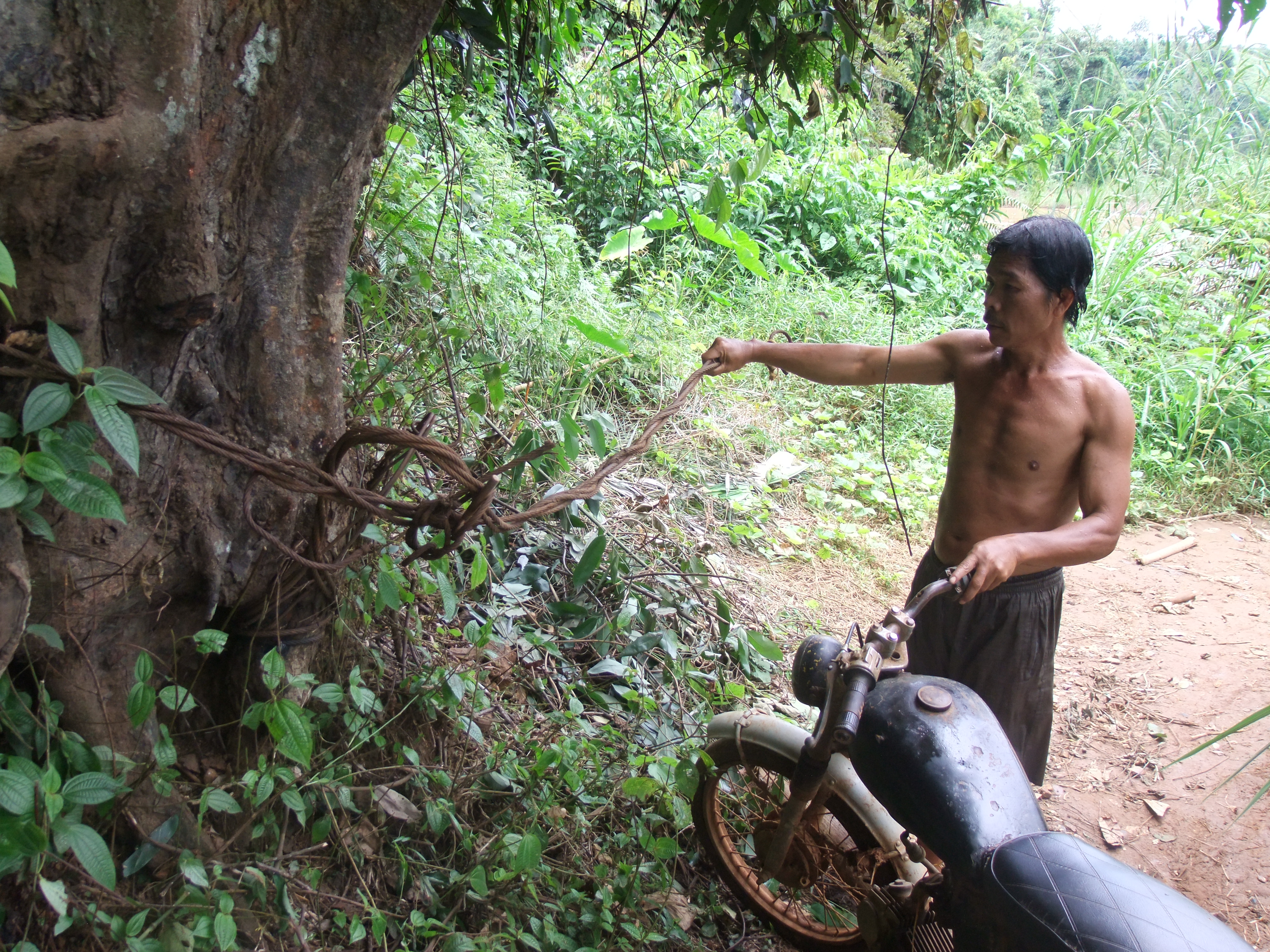 Giã từ đánh đu “kiểu Tắc răng” lại quay về đời “thủy thủ”