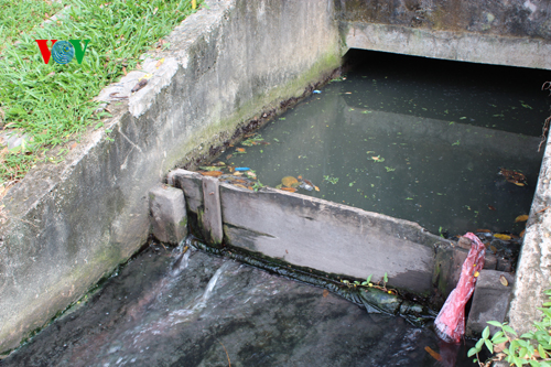 Cá chết trắng hồ Thiền Quang, người đi đường phải bịt mũi