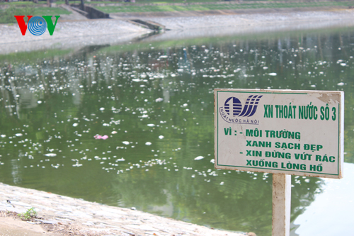 Cá chết trắng hồ Thiền Quang, người đi đường phải bịt mũi