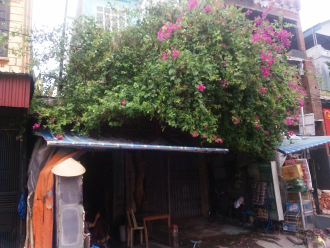 Côn đồ đấu súng tại Hải Dương, thanh toán nhau đẫm máu vì đòi nợ