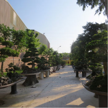 Thú chơi ngông triệu đô của “ông trùm” đồ gỗ Minh “sâm”