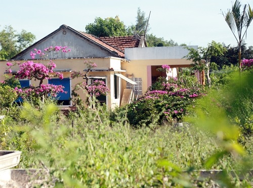 Truy tìm thầy lang “dỏm” làm 4 người nguy kịch ở Quảng Ngãi Truy tìm thầy lang “dỏm” làm 4 người nguy kịch ở Quảng Ngãi