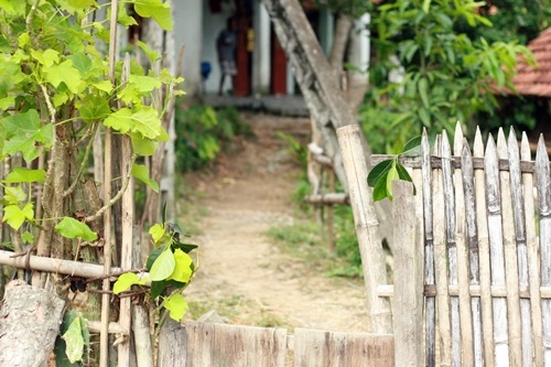 (báo giấy)Kỳ lạ tục làm phép chữa bệnh bằng trứng gà ung của ngườ (báo giấy)Kỳ lạ tục làm phép chữa bệnh bằng trứng gà ung của ngườ