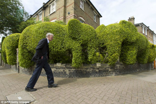 Rao bán hàng rào hình con voi để làm từ thiện