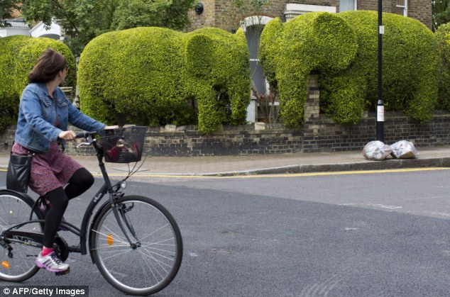 Rao bán hàng rào hình con voi để làm từ thiện