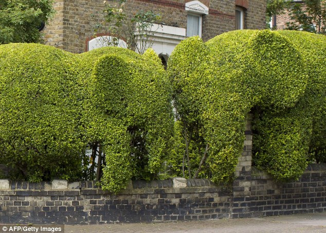 Rao bán hàng rào hình con voi để làm từ thiện