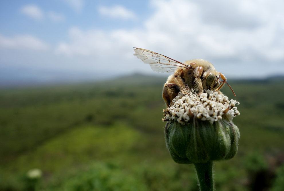 Những bức ảnh tuyệt đẹp của cuộc thi ảnh lớn nhất thế giới 2014