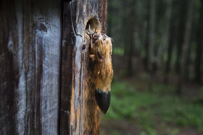 Cuộc sống ở thôn quê Triều Tiên