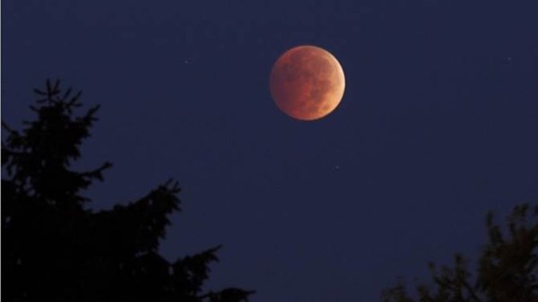 Chiêm ngưỡng nguyệt thực 