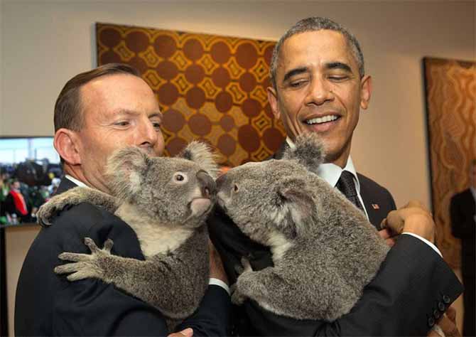 Gấu túi Koala giúp các nhà lãnh đạo xoa diu căng thẳng G20  