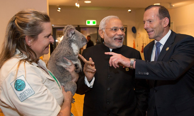 Gấu túi Koala giúp các nhà lãnh đạo xoa diu căng thẳng G20  