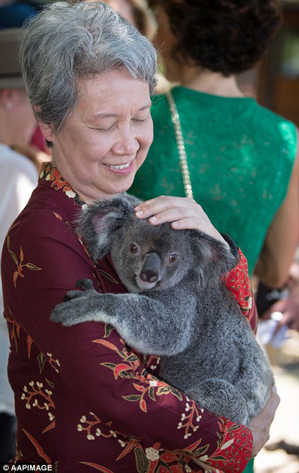 Gấu túi Koala giúp các nhà lãnh đạo xoa diu căng thẳng G20  