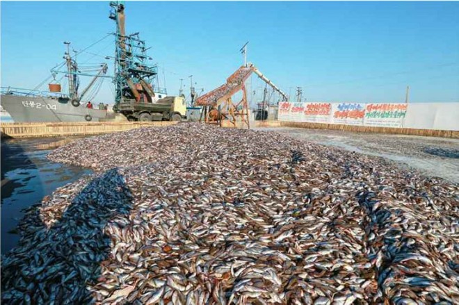 Ông Kim Jong-un cùng em gái thị sát nhà máy thuỷ sản quân đội Ông Kim Jong-un cùng em gái thị sát nhà máy thuỷ sản quân đội